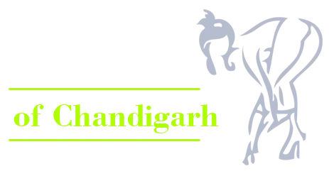 Queen of Escort Call Girl Service in Chandigarh