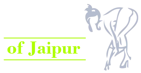 Queen of Escort Call Girl Service in Jaipur
