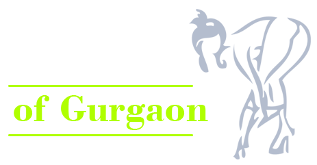 Queen of Escort Call Girl Service in Faridabad