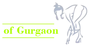 Queen of Escort Call Girl Service in Gurgaon